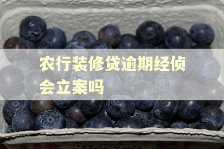 农行装修贷逾期经侦会立案吗