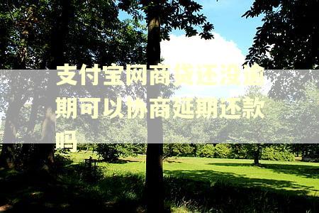 支付宝网商贷还没逾期可以协商延期还款吗