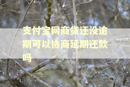 支付宝网商贷还没逾期可以协商延期还款吗