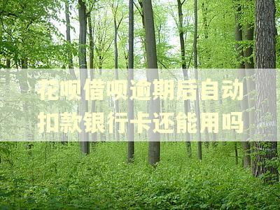 花呗借呗逾期后自动扣款银行卡还能用吗