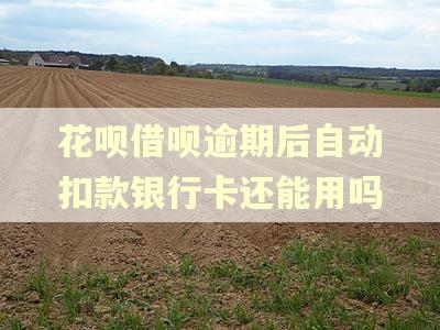 花呗借呗逾期后自动扣款银行卡还能用吗 花呗借呗逾期后自动扣款银行卡还能用吗