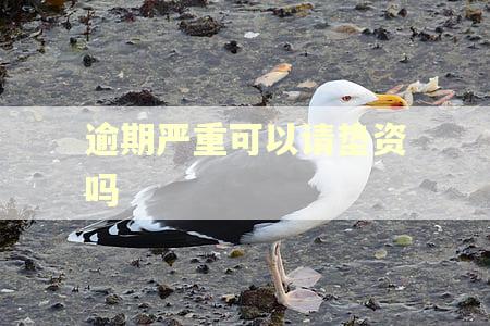 逾期严重可以请垫资吗