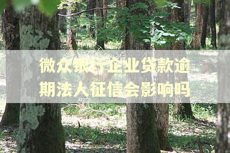 微众银行企业贷款逾期法人征信会影响吗