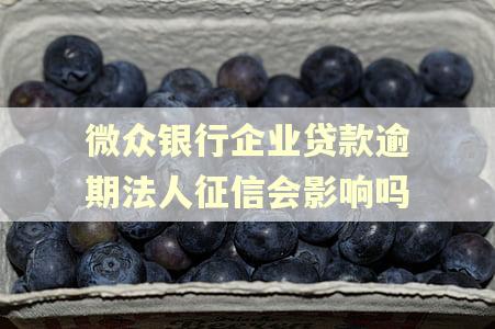 微众银行企业贷款逾期法人征信会影响吗