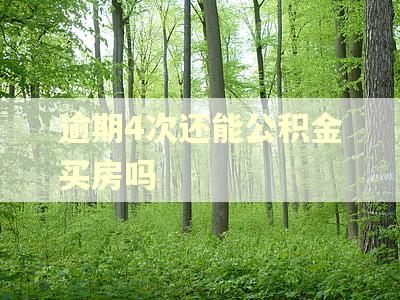 逾期4次还能公积金买房吗