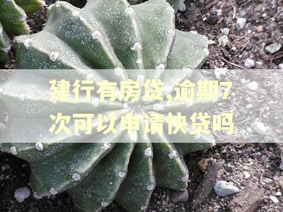 建行有房贷,逾期7次可以申请快贷吗