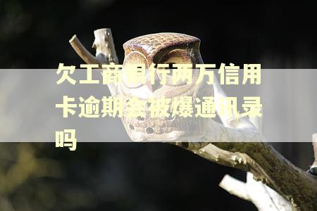 欠工商银行两万信用卡逾期会被爆通讯录吗