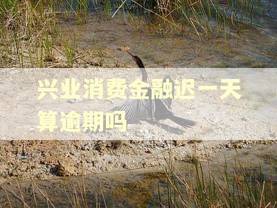 兴业消费金融迟一天算逾期吗