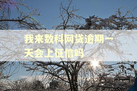 我来数科网贷逾期一天会上征信吗