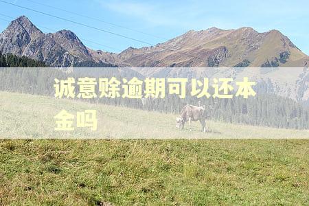 诚意赊逾期可以还本金吗