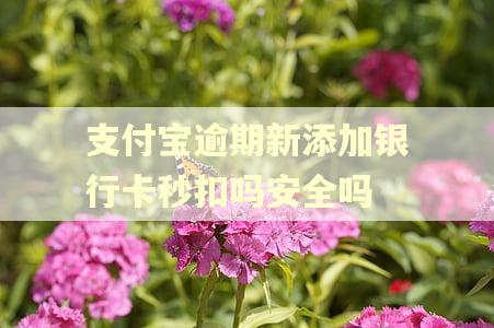 支付宝逾期新添加银行卡秒扣吗安全吗
