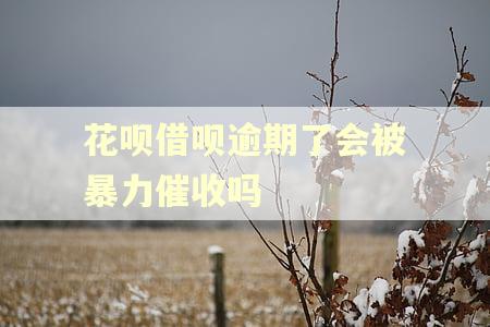花呗借呗逾期了会被暴力催收吗 花呗借呗逾期了会被暴力催收吗