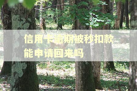 信用卡逾期被秒扣款能申请回来吗
