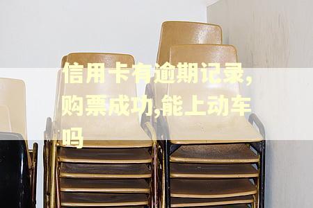 信用卡有逾期记录,购票成功,能上动车吗