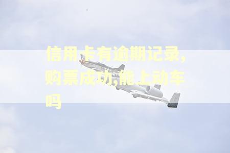 信用卡有逾期记录,购票成功,能上动车吗