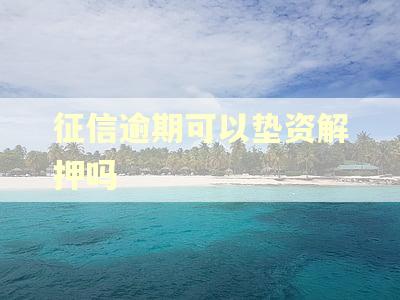 征信逾期可以垫资解押吗