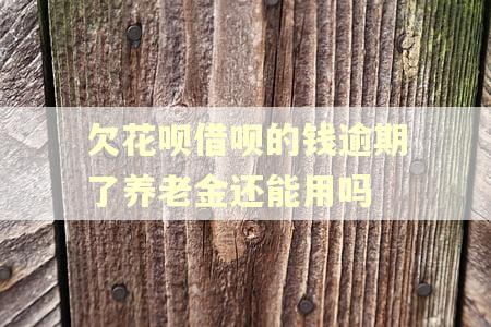 欠花呗借呗的钱逾期了养老金还能用吗