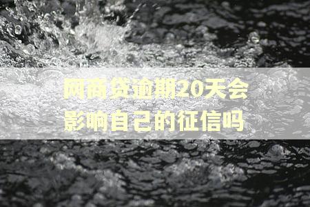 网商贷逾期20天会影响自己的征信吗