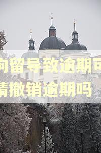被拘留导致逾期可以申请撤销逾期吗