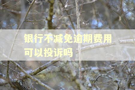 银行不减免逾期费用可以投诉吗