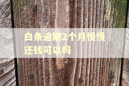 白条逾期2个月慢慢还钱可以吗