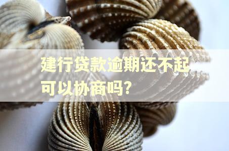 建行贷款逾期还不起可以协商吗?