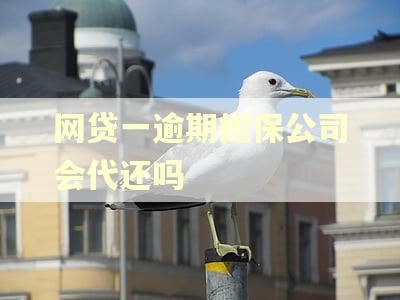 网贷一逾期担保公司会代还吗