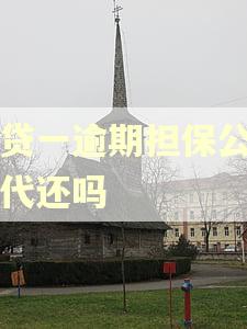 网贷一逾期担保公司会代还吗