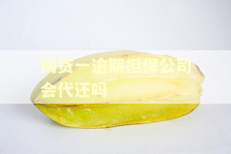 网贷一逾期担保公司会代还吗 网贷一逾期担保公司会代还吗