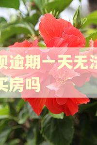 借呗逾期一天无法贷款买房吗