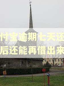 支付宝逾期七天还了之后还能再借出来吗