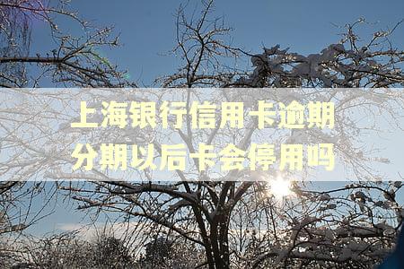 上海银行信用卡逾期分期以后卡会停用吗