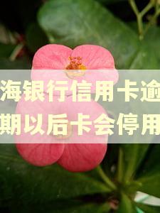 上海银行信用卡逾期分期以后卡会停用吗 上海银行信用卡逾期分期以后卡会停用吗