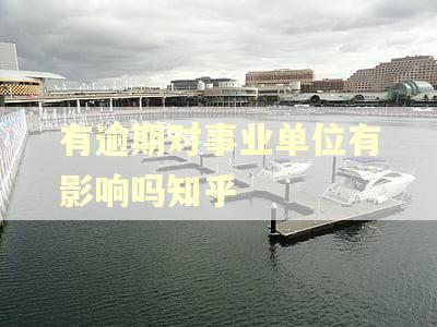 有逾期对事业单位有影响吗知乎