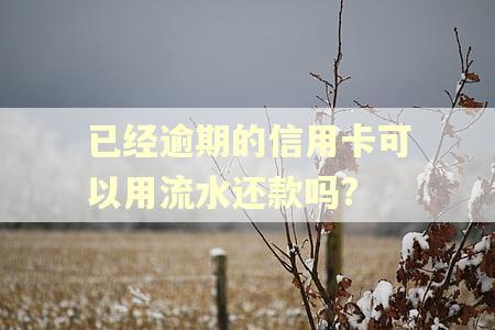 已经逾期的信用卡可以用流水还款吗?