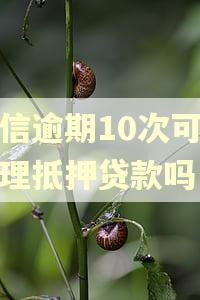 征信逾期10次可以办理抵押贷款吗