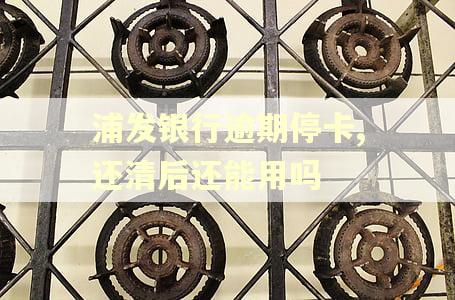 浦发银行逾期停卡,还清后还能用吗
