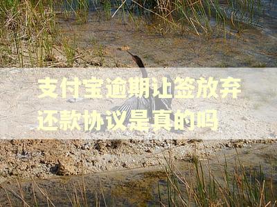 支付宝逾期让签放弃还款协议是真的吗