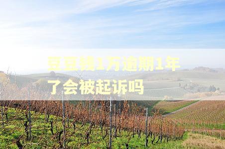 豆豆钱1万逾期1年了会被起诉吗
