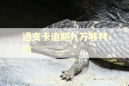 透支卡逾期九万够判吗