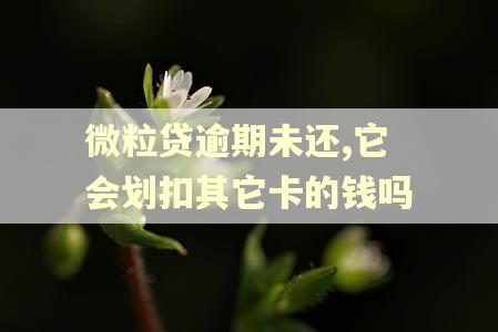 微粒贷逾期未还,它会划扣其它卡的钱吗