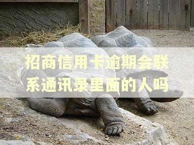 招商信用卡逾期会联系通讯录里面的人吗