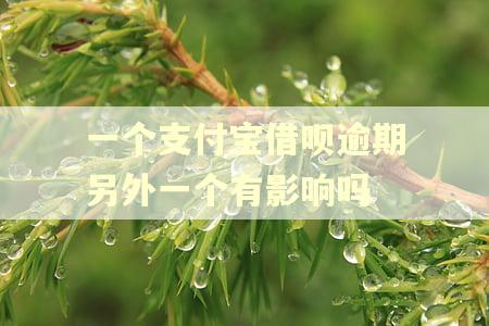 一个支付宝借呗逾期另外一个有影响吗