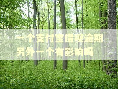 一个支付宝借呗逾期另外一个有影响吗