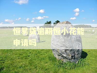 恒易贷逾期恒小花能申请吗