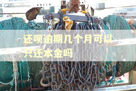 还呗逾期几个月可以只还本金吗 还呗逾期几个月可以只还本金吗