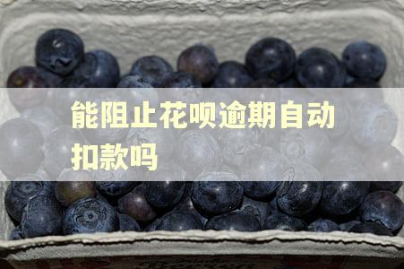 能阻止花呗逾期自动扣款吗