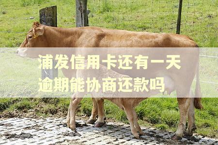 浦发信用卡还有一天逾期能协商还款吗