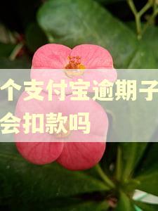一个支付宝逾期子账号会扣款吗