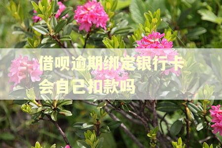 借呗逾期绑定银行卡会自己扣款吗